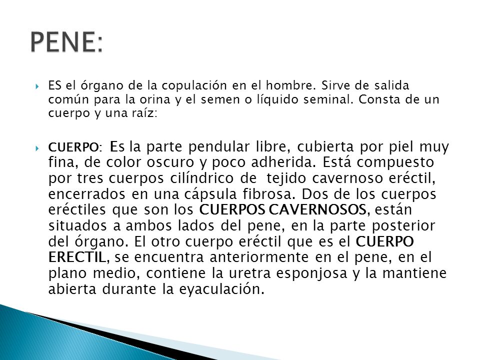 Que más pequeño miembro de la dimensión